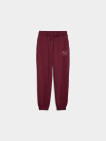 Штаны спортивные PUMA Class Sweatpants модель 688136 Фото