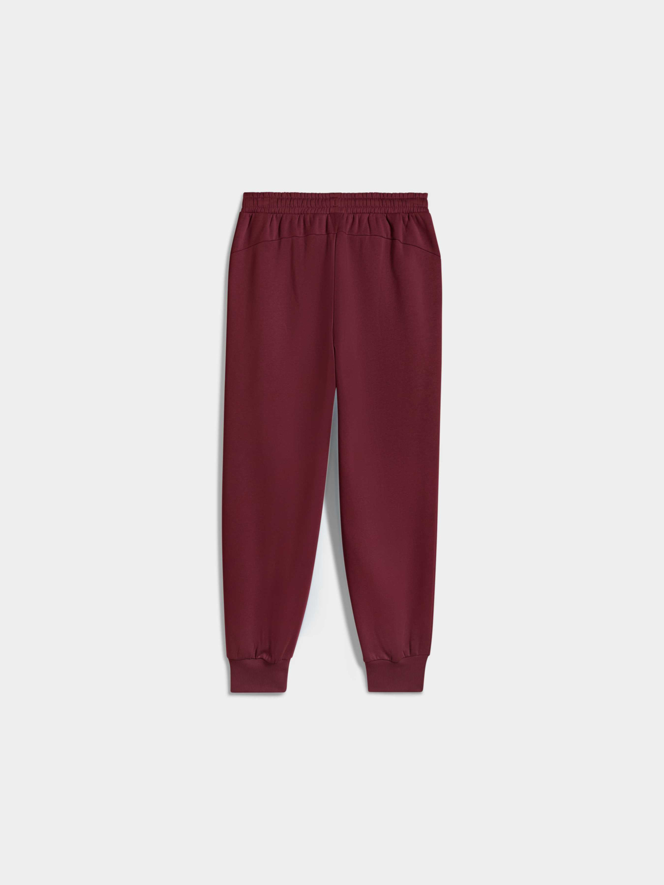 Спортивні штани PUMA Bmw Mms Ess+ Pants Fleece модель 627499 Спортивні штани PUMA Bmw Mms Ess+ Pants Fleece модель 627499 Фото