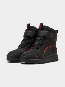 Ботинки PUMA Evolve Boot Purtx Ac+ps модель 392649 Фото