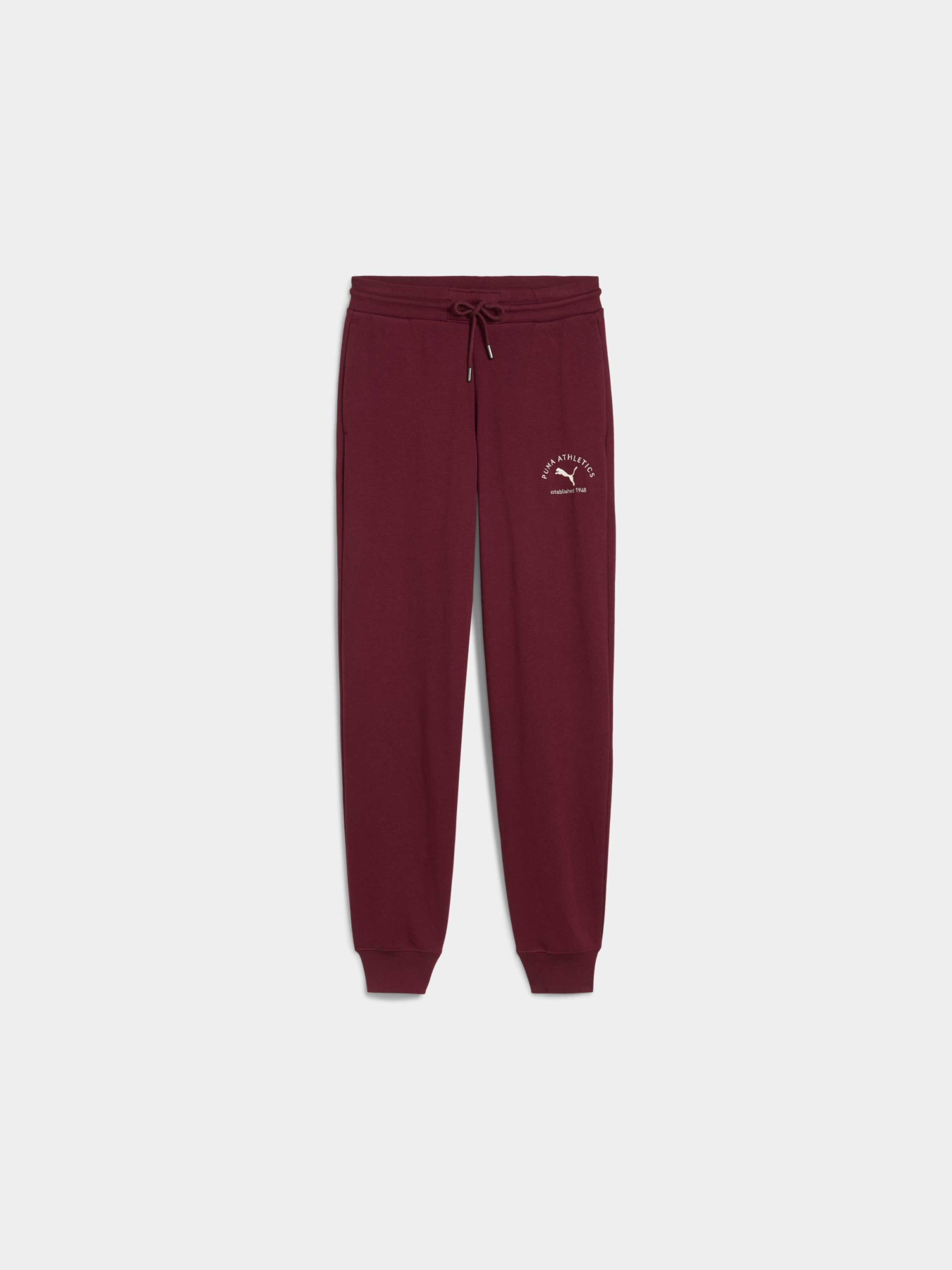 Спортивні штани PUMA Class Sweatpants модель 688135 Фото