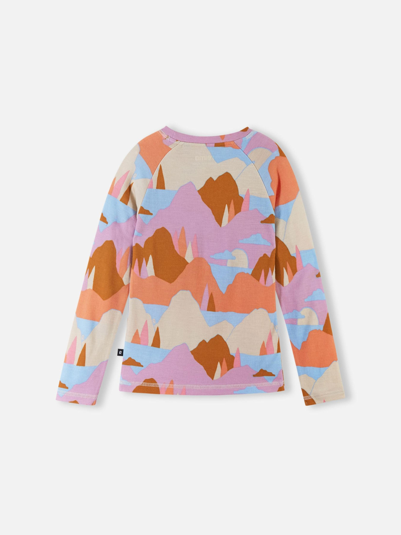 Лонгслив REIMA Viisas модель 5200012B-3233 Фото