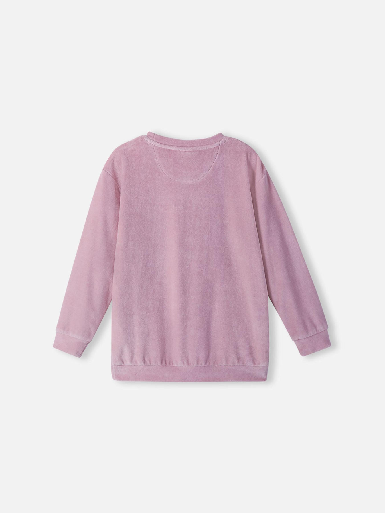 Світшот REIMA Siipipari модель 5200142A-4550 Фото