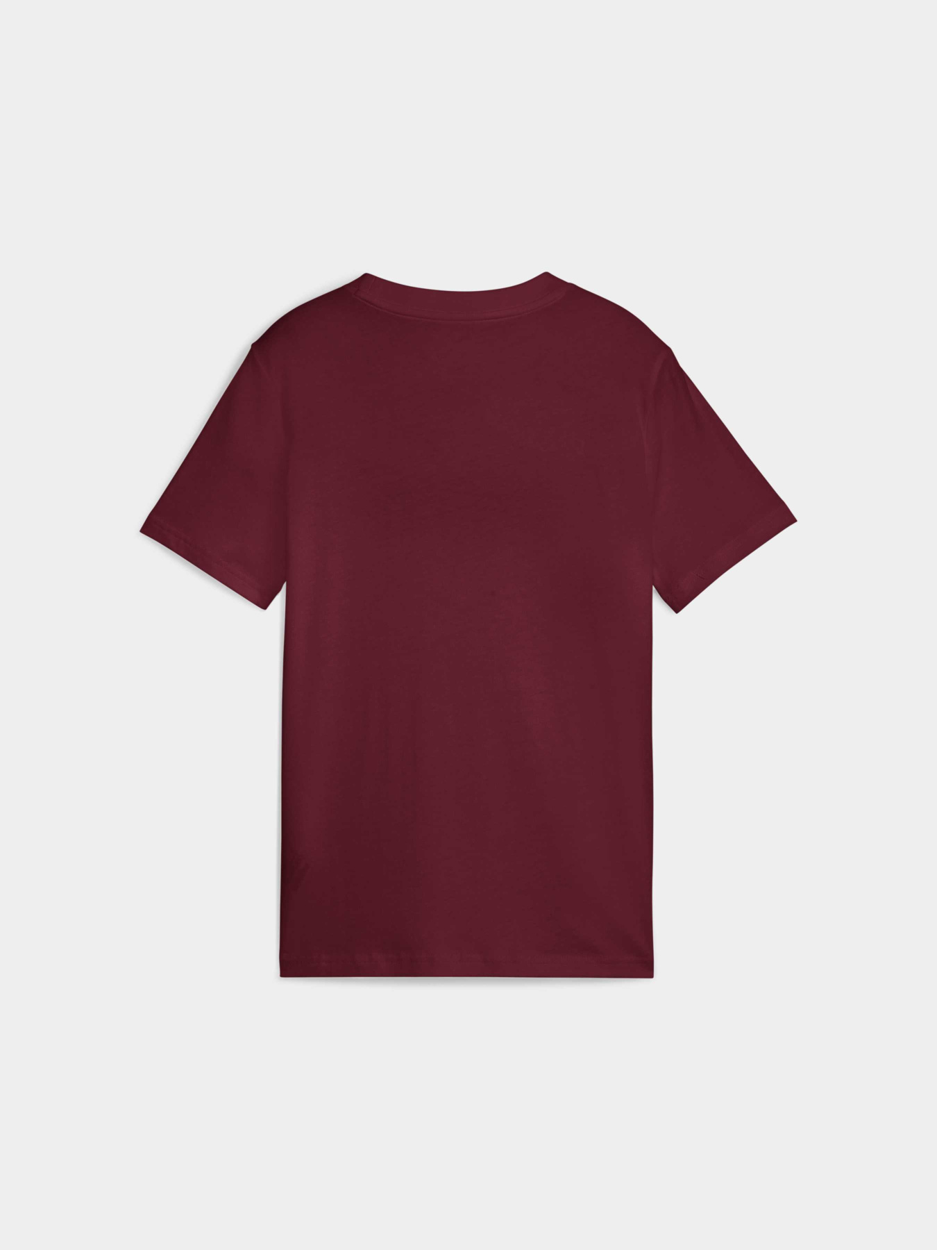 Футболка PUMA Ess No. 1 Logo Tee модель 684892 Фото