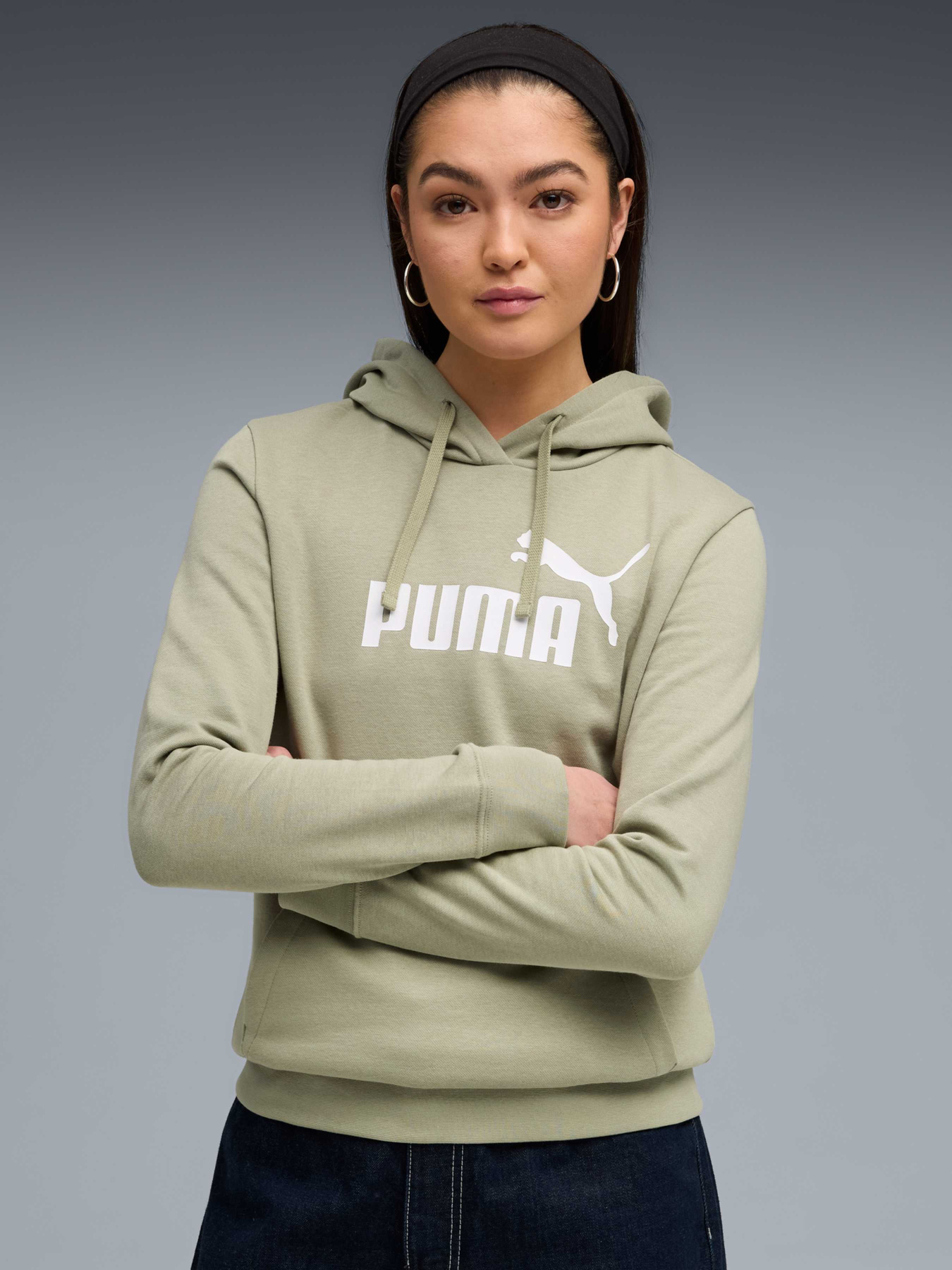 Худи PUMA Ess No. 1 Logo Hoodie модель 682389 Фото