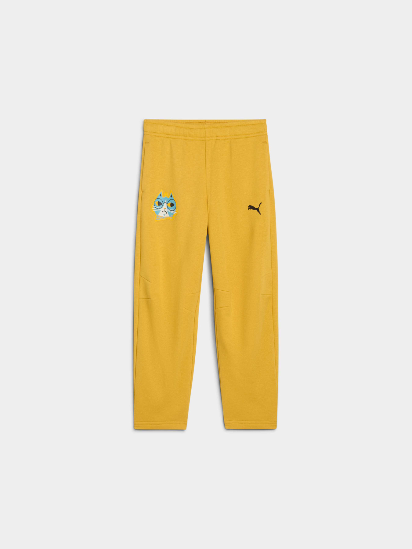 Штаны спортивные PUMA Moody Cat Sweatpants модель 632209 Фото