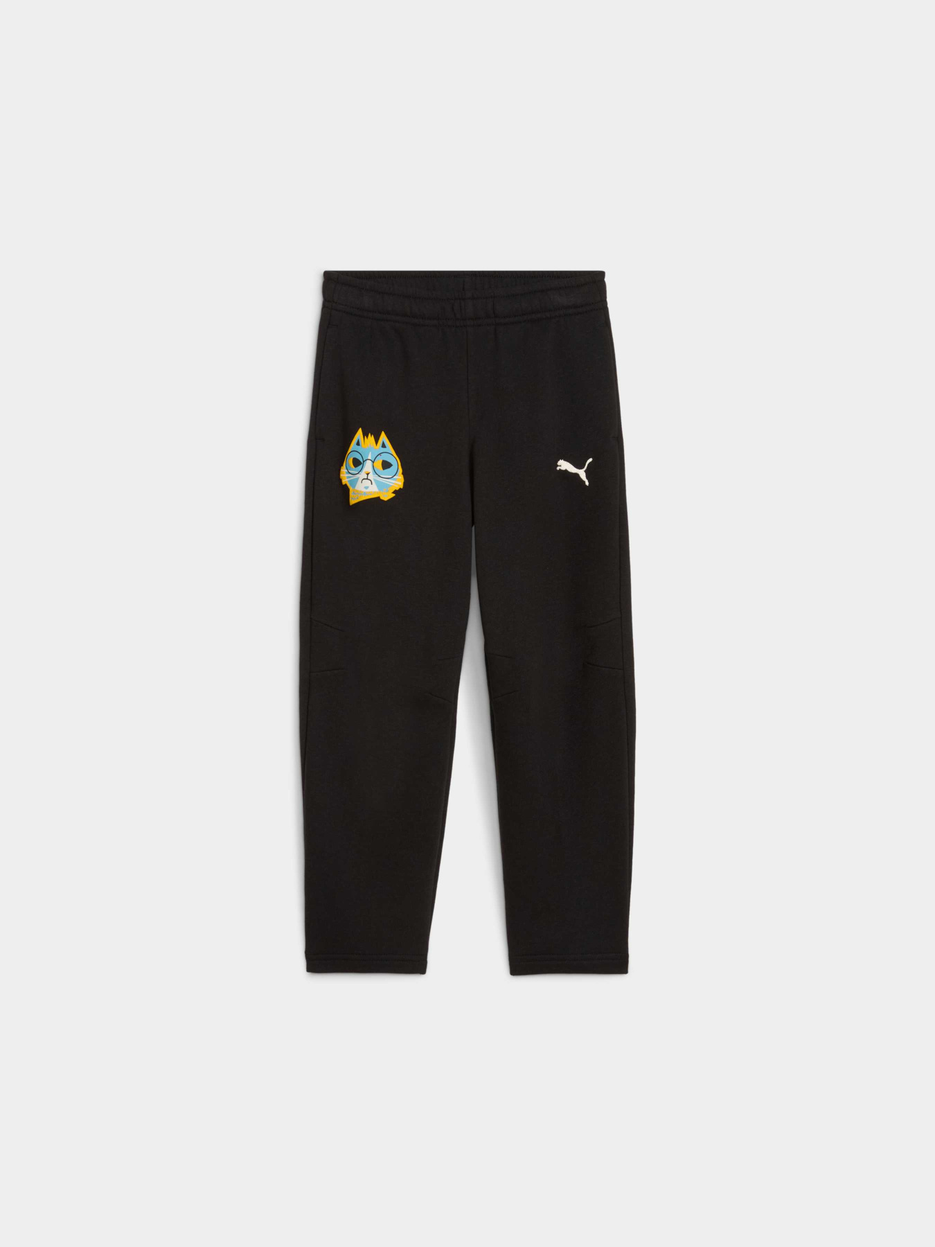 Штаны спортивные PUMA Moody Cat Sweatpants модель 632209 Фото