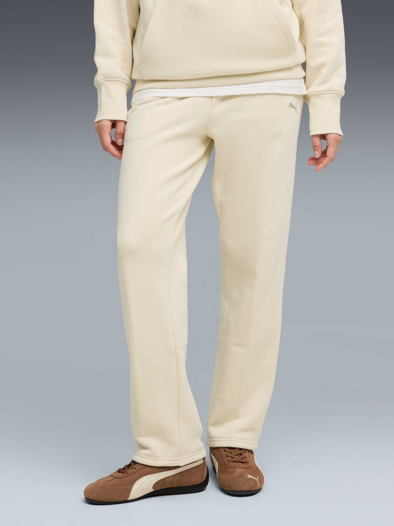 Спортивні штани PUMA Premium Ess Sweatpants модель 632073 Фото