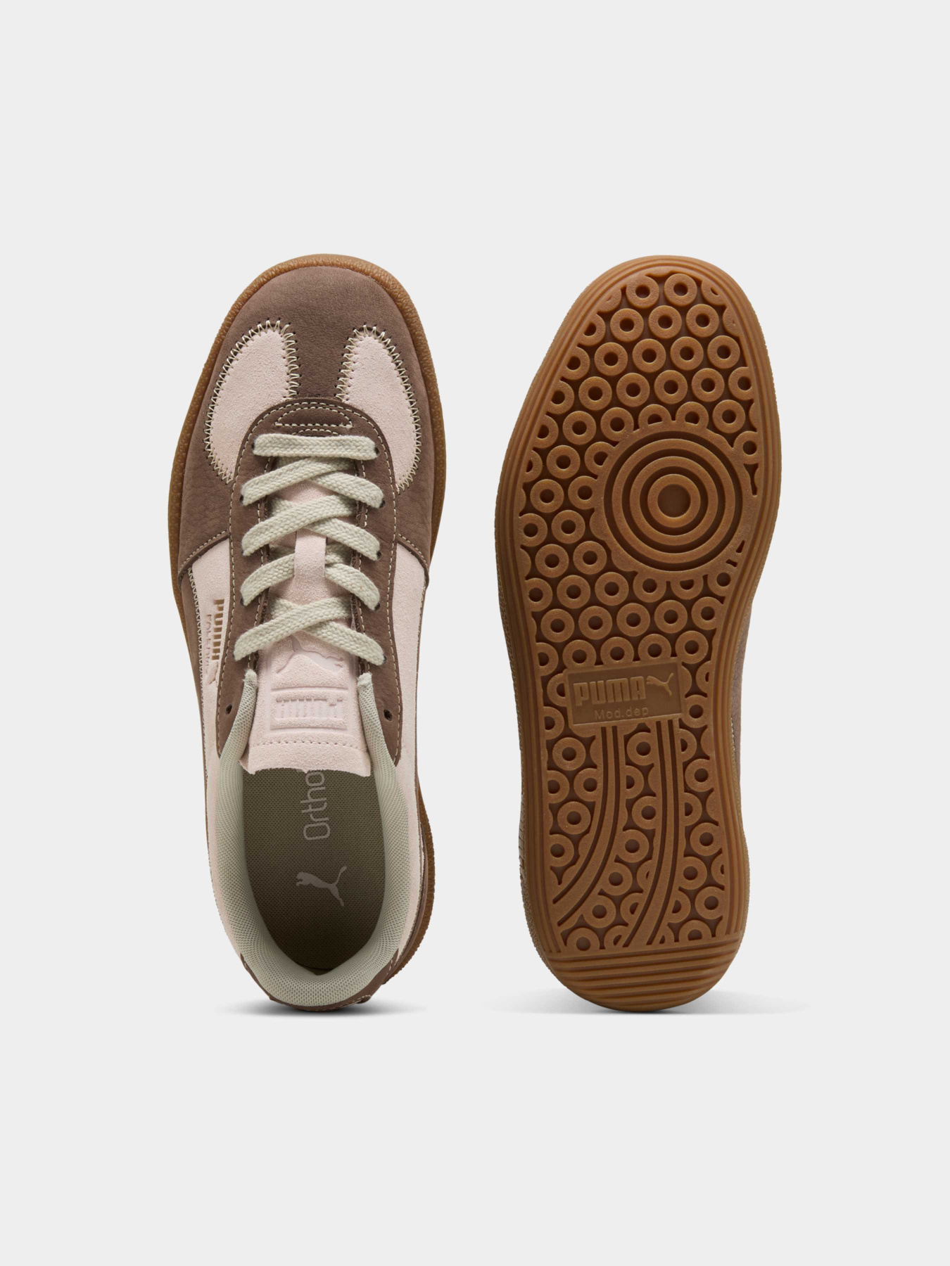 Кеди низькі PUMA Palermo Wine Club Wns модель 403349 Фото