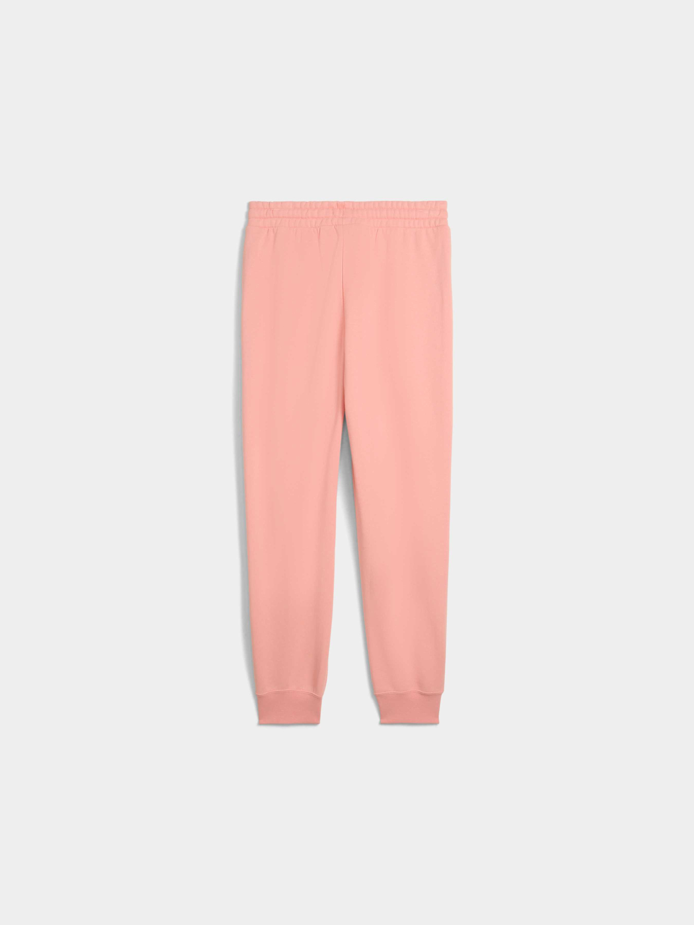 Штани PUMA CLASS Comfort Sweatpants Women модель 685037 Фото