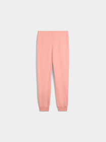 Штани PUMA CLASS Comfort Sweatpants Women модель 685037 Фото