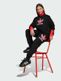 Джогери Adidas Adicolor модель JV7781 Фото