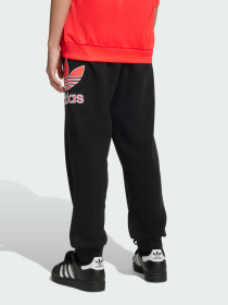 Джогери Adidas Adicolor модель JV7781 Фото