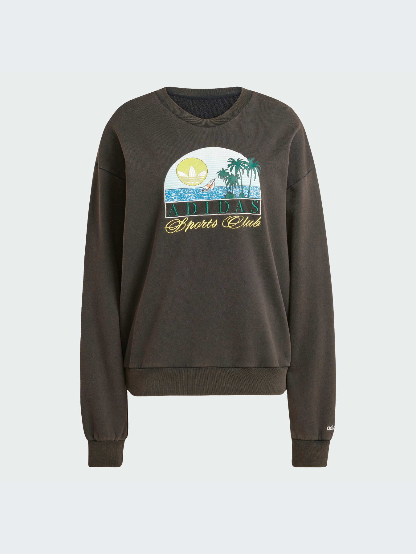 Худи и свитшоты Adidas Graphics модель JN6685-KZ Фото