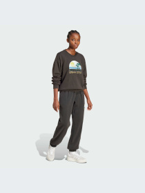 Худи и свитшоты Adidas Graphics модель JN6685-KZ Фото
