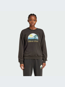 Худи и свитшоты Adidas Graphics модель JN6685-KZ Фото
