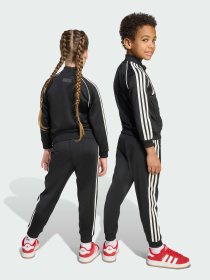 Спортивный костюм Adidas Graphics модель JX3021 Фото