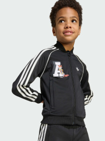 Спортивный костюм Adidas Graphics модель JX3021 Фото