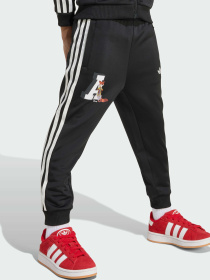 Спортивный костюм Adidas Graphics модель JX3021 Фото