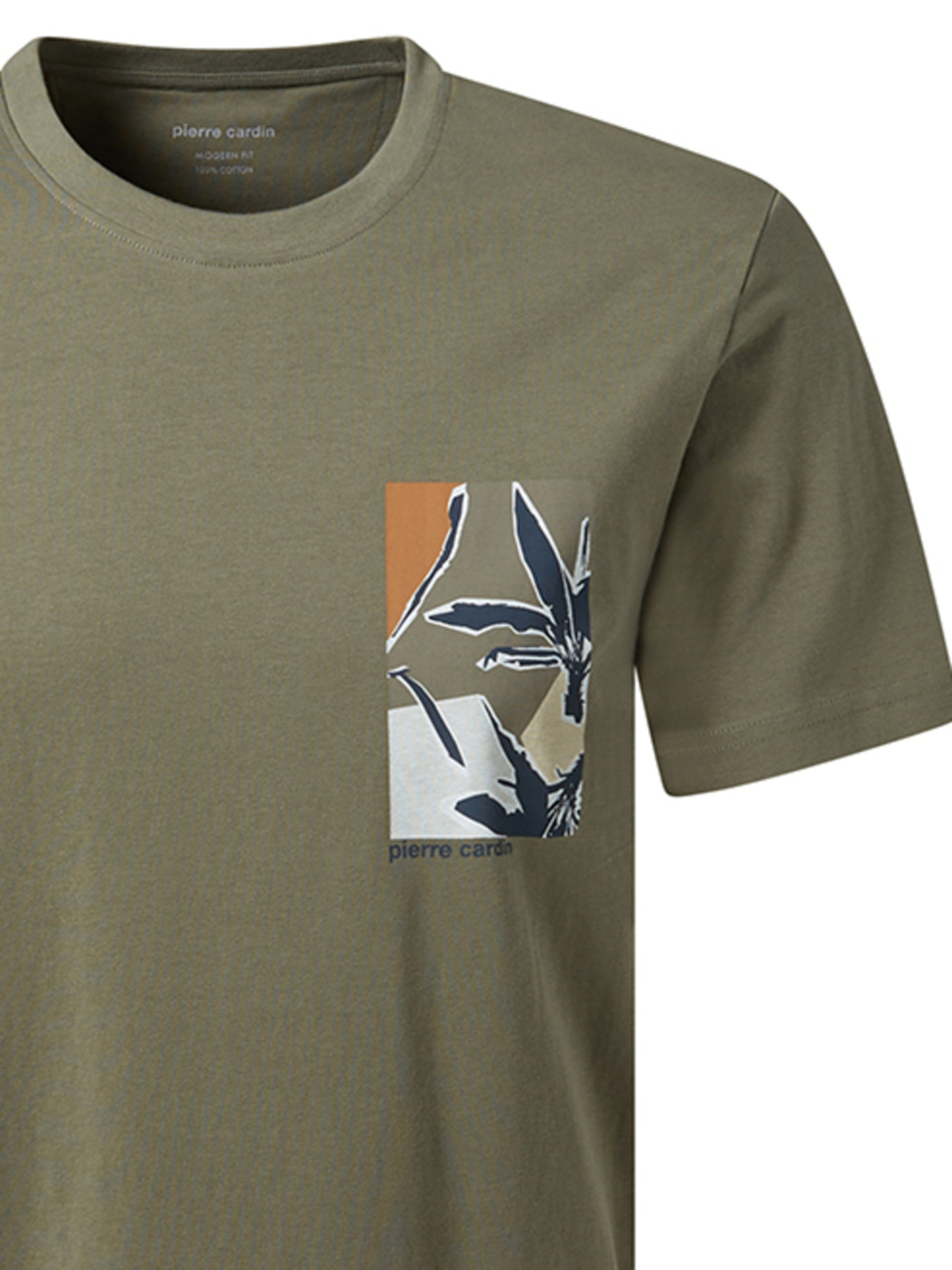 Футболка Pierre Cardin модель C5 21490.2120.5215 Фото