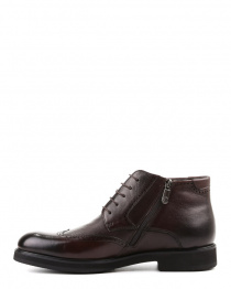 Ботинки Arzoni Bazalini модель 00000013666 Фото