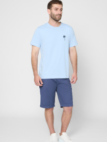 Футболка Pierre Cardin модель C5 21500.2120.6033 Фото