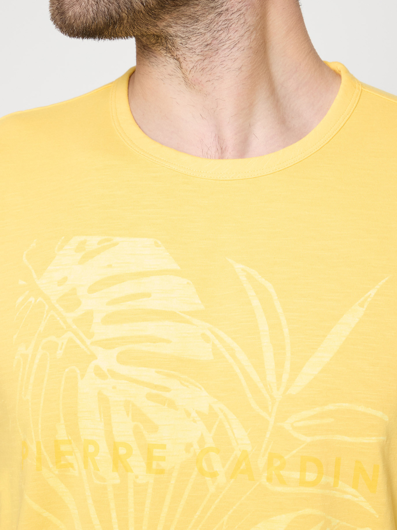 Футболка Pierre Cardin модель C5 21680.2139.2112 Фото