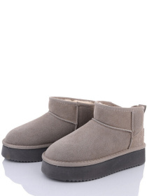 Сапоги ITTS модель AN801-17 Фото