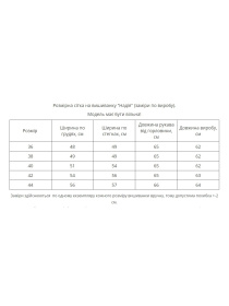 Вышиванки MEREZHKA модель rj561 Фото