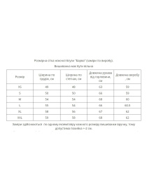 Вишиванки MEREZHKA модель rj580 Фото