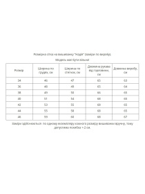 Вишиванки MEREZHKA модель rj744 Фото