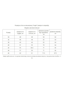 Вышиванки MEREZHKA модель rj824 Фото