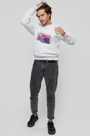 Свитшот YAPPI модель MSWG1239 Фото