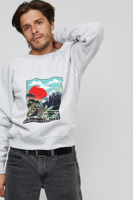 Свитшот YAPPI модель MSWG1238 Фото