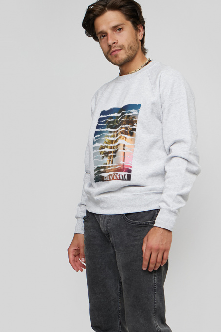 Свитшот YAPPI модель MSWG1147 Фото