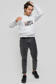 Свитшот YAPPI модель MSWG1219 Фото