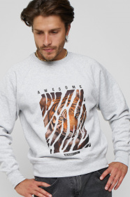 Свитшот YAPPI модель MSWG1208 Фото