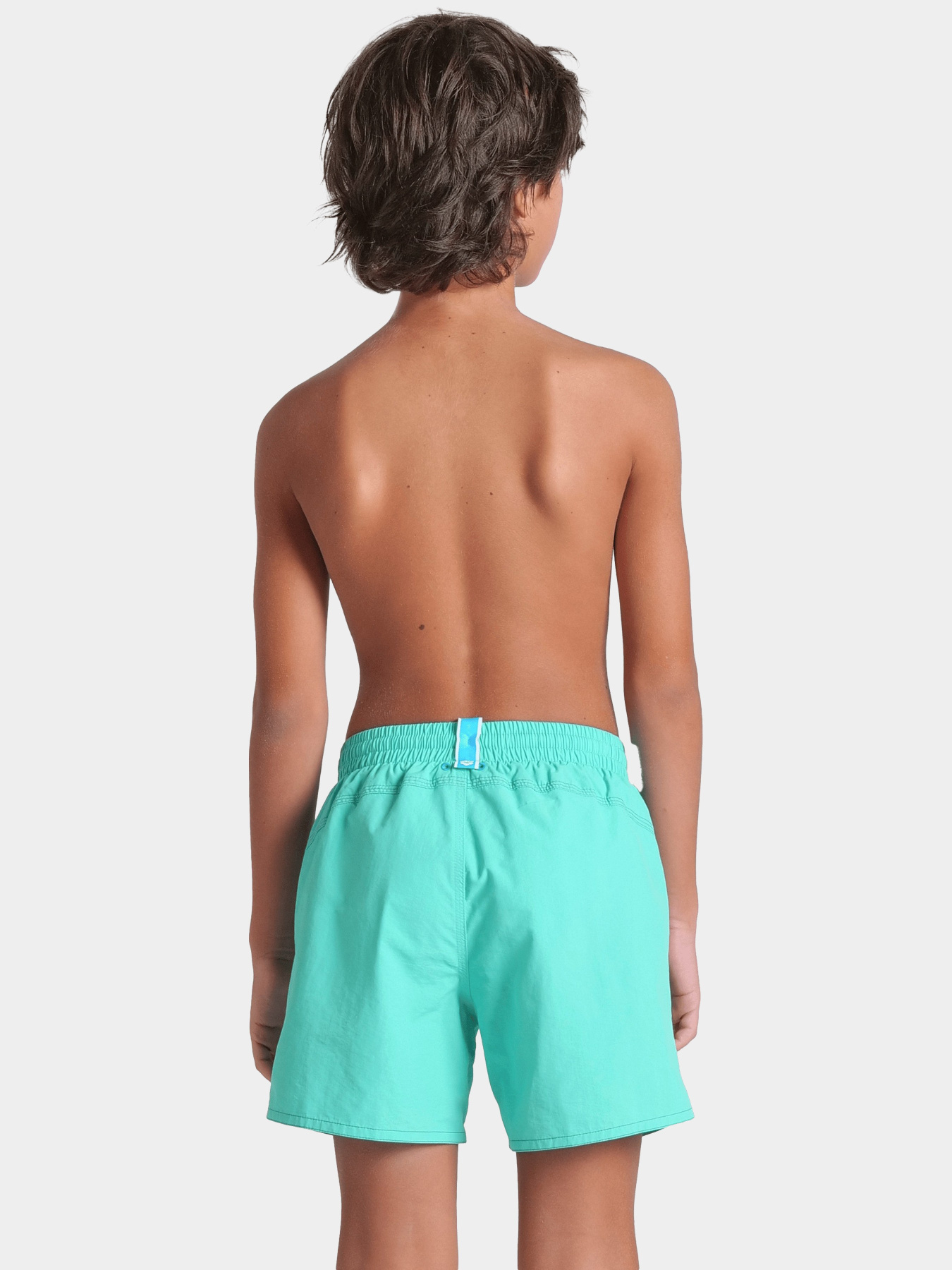 Шорты для плавания Arena модель 009258-885 Фото