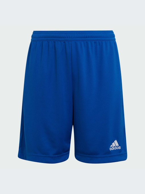Шорты Adidas модель HG6291-KZ Фото