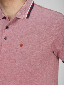 Поло Pierre Cardin модель C5 20914.2070.4200 Поло Pierre Cardin модель C5 20914.2070.4200 Фото