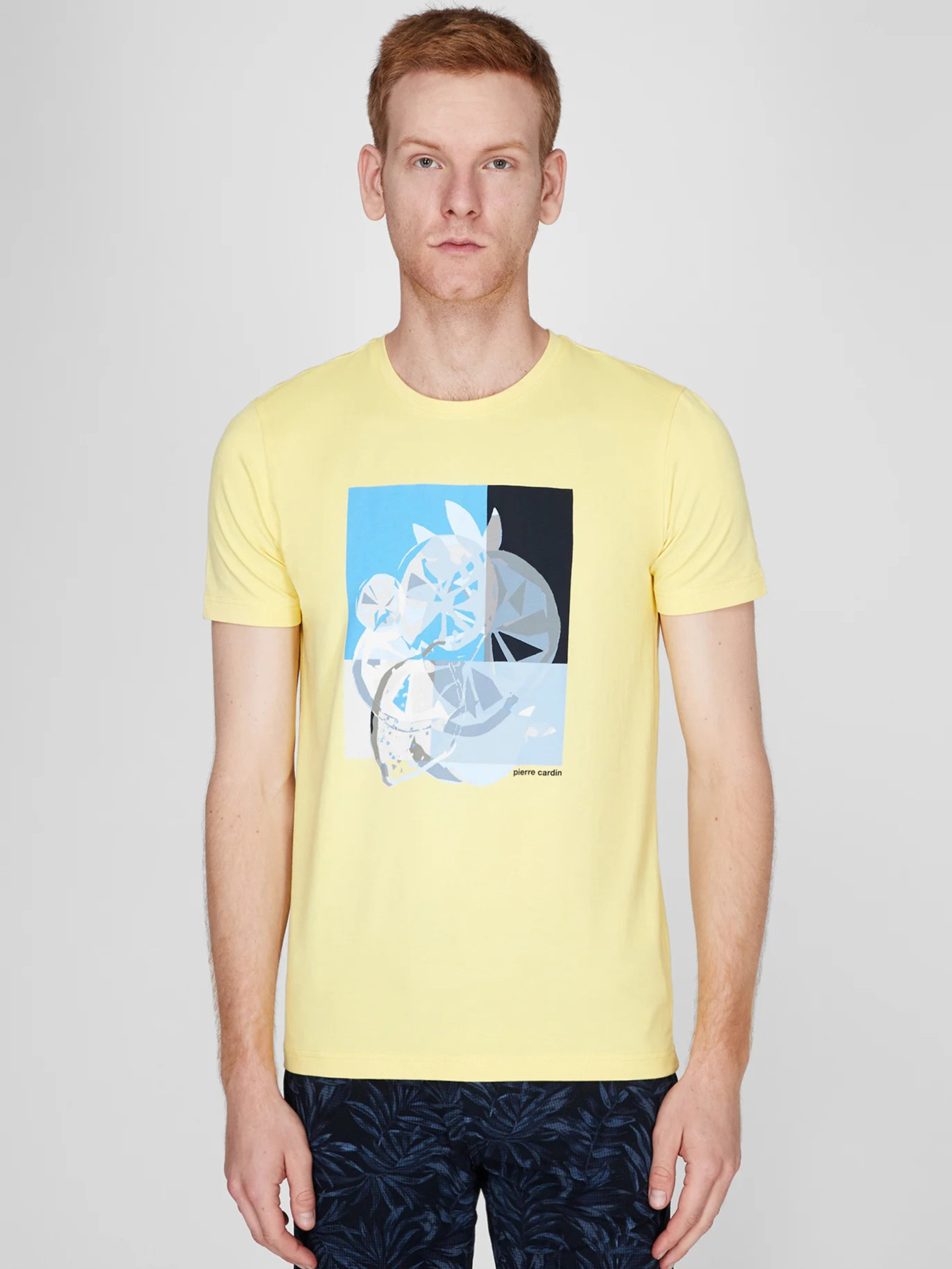 Футболка Pierre Cardin модель C5 21070.2103.2109 Фото