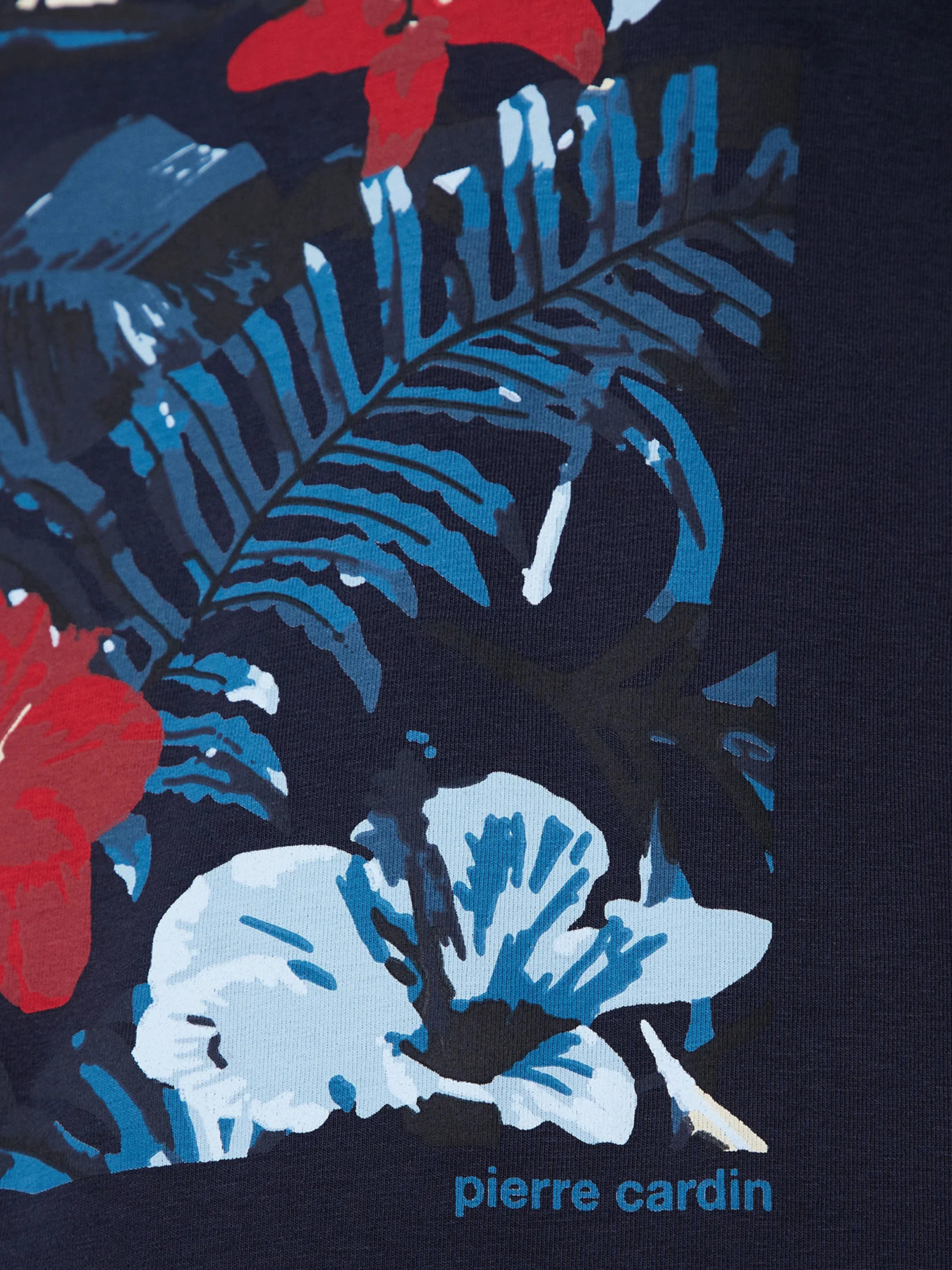 Футболка Pierre Cardin модель C5 21080.2104.6323 Фото