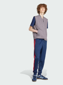 Спортивні штани Adidas модель IY9870 Спортивні штани Adidas модель IY9870 Фото