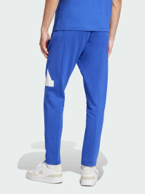 Джоггеры Adidas модель IW8560 Фото