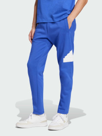 Брюки Adidas модель IW8560 Фото