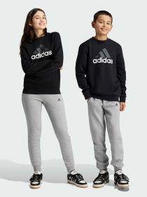 Спортивный костюм Adidas модель IX9518 Фото