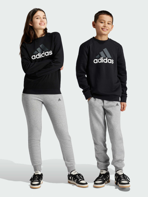 Спортивный костюм Adidas модель IX9518 Фото