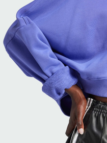 Кофта Adidas модель IY9686 Фото