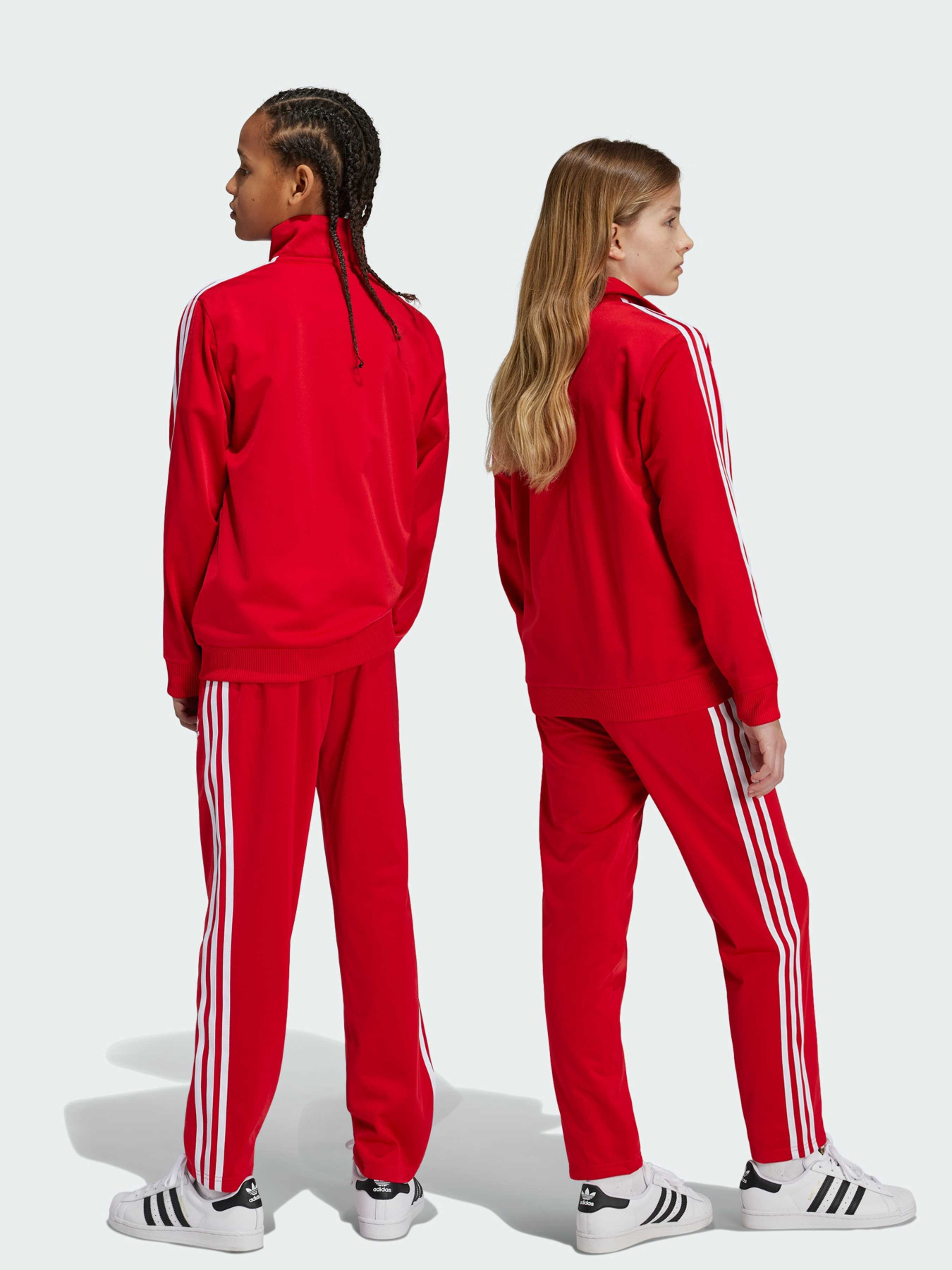 Брюки повседневные Adidas Adicolor модель IY9806 Фото