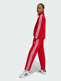 Брюки повседневные Adidas Adicolor модель IY9806 Фото