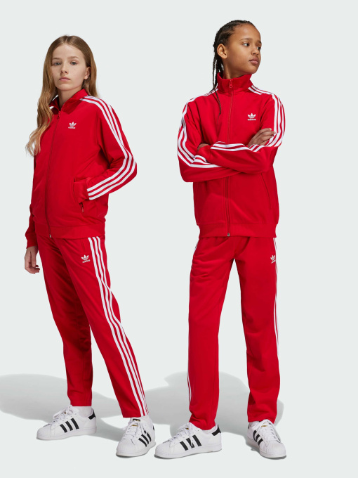 Брюки повседневные Adidas Adicolor модель IY9806 Фото